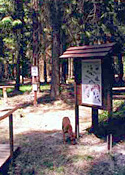 Lehrpfad